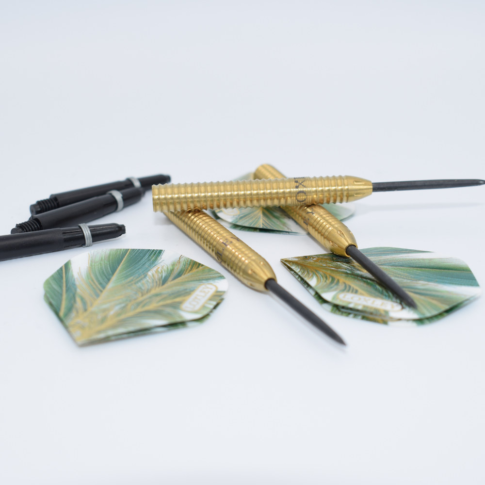David Schlichting Darts by Loxley