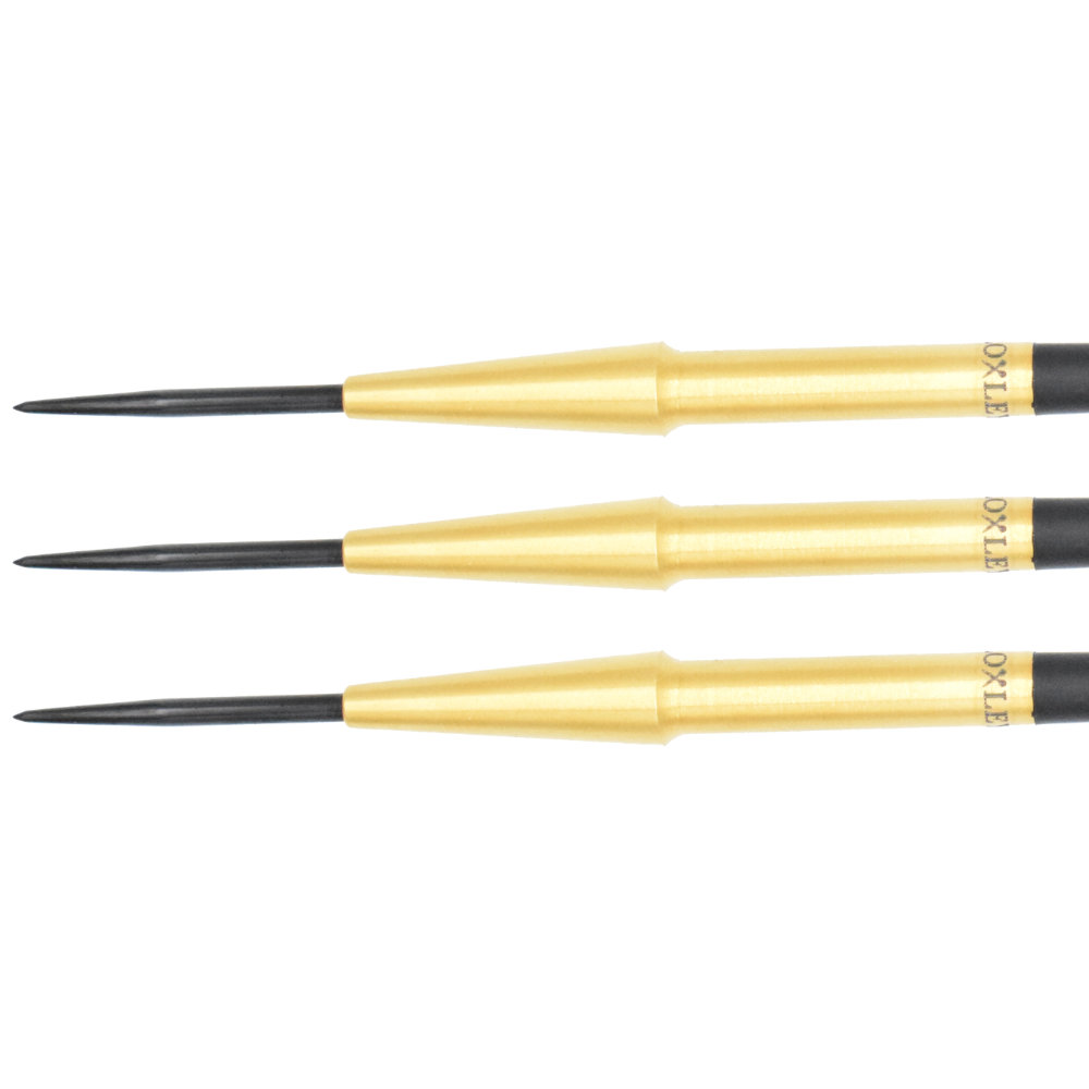 Robin Model 1 Gold Edition Darts