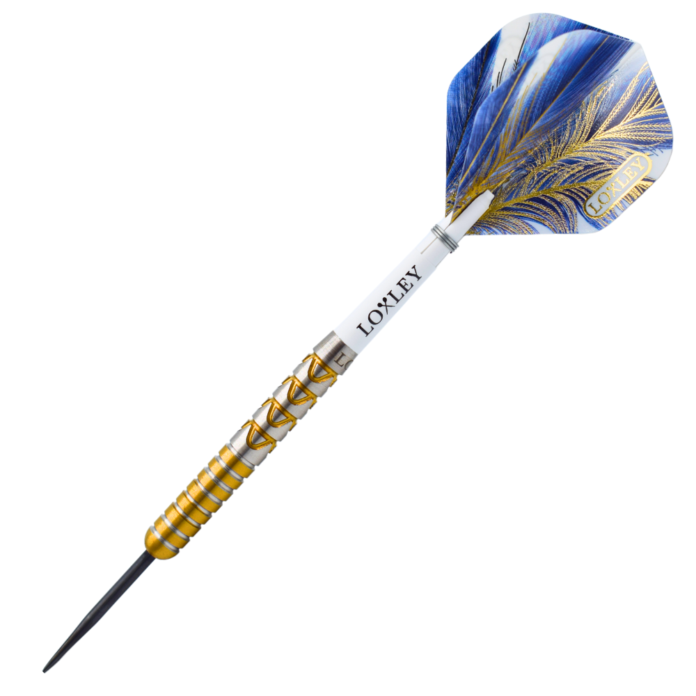 The Saiyan Darts 22G