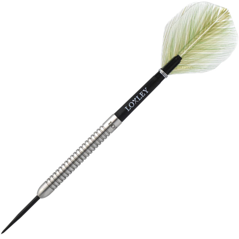 The Enforcer 22g Darts by Loxley