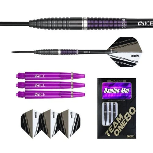 Damian Mol 24G ONE80 Darts